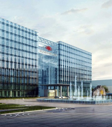 山東如意集團有限公司